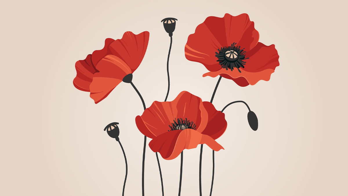 Remembrance Day